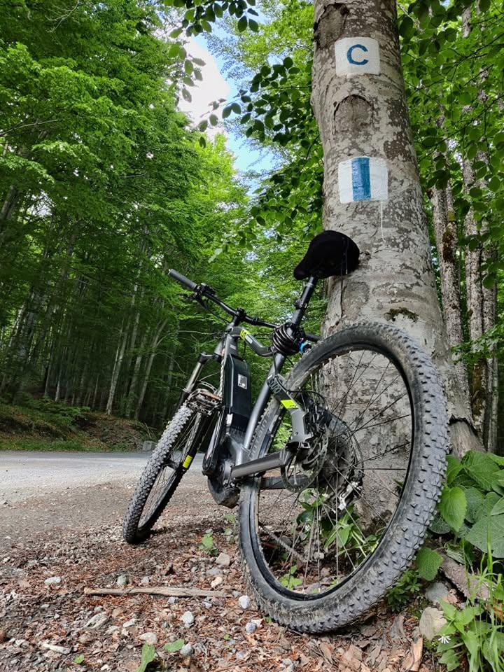 Priveliște din jurul Sovatei